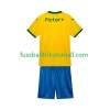 Fußballtrikots Palmeiras Kinder 2025-2026 Kurzarm 3rd trikot kaufen